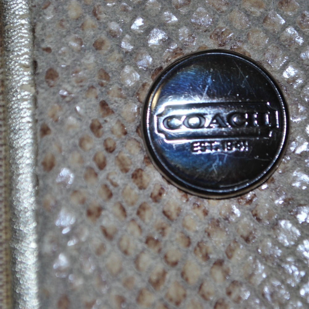 Signature Stripe Python Tote Coach - Picture 6 of 10